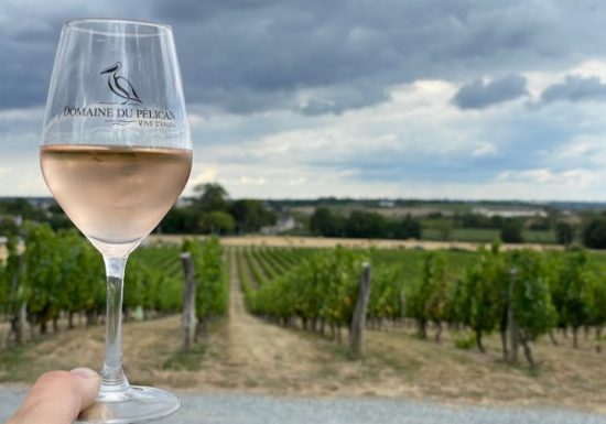 Les Pélicanaises au Vignoble des Pélicans – Concert Monsieur Plus