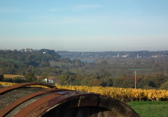 Panorama sur les Coteaux de Loire aux Galloires