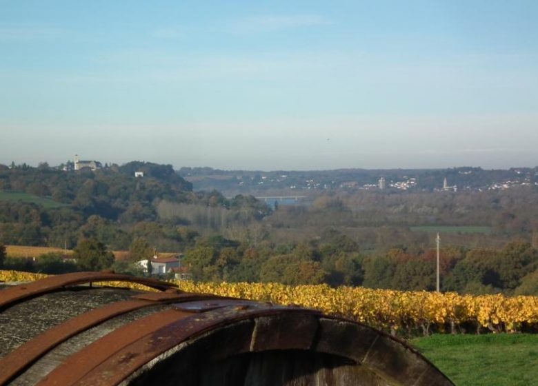 PANORAMA SUR LES COTEAUX DE LOIRE AUX GALLOIRES