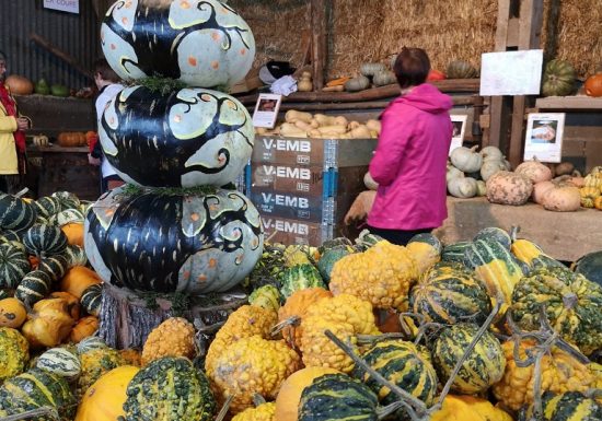 Marché aux Cucurbitacées : 26ème édition
