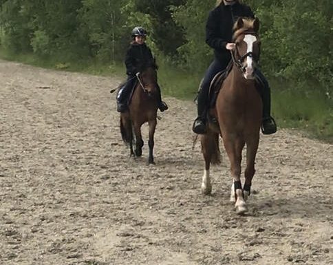 Concours d&rsquo;obstacles aux écuries du Beuvron