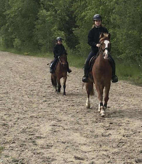 Concours d&rsquo;obstacles aux écuries du Beuvron