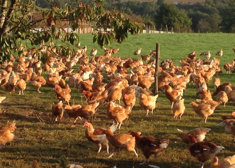 Gaec de l’Orionnère