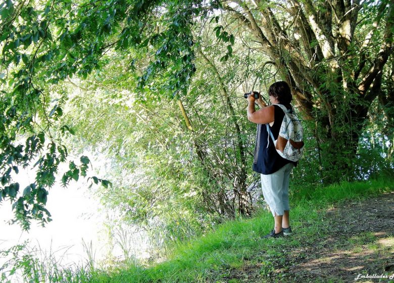 « Emballades Photos » balades photographiques dans les Mauges
