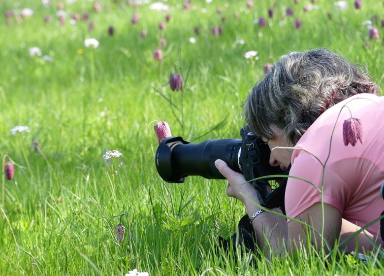 « Emballades Photos » balades photographiques dans les Mauges