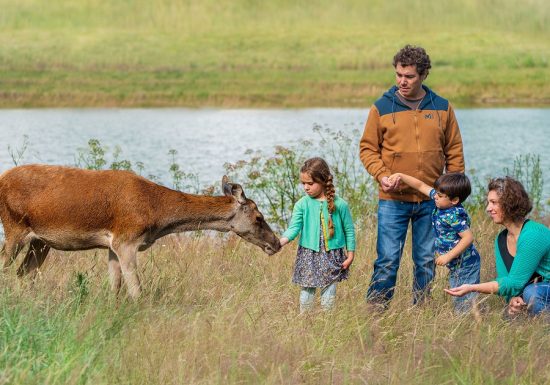 Nocturne à la ferme en famille aux Cerfs de la Fardellière