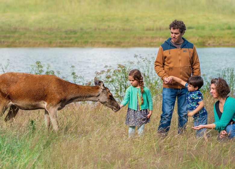 Nocturne à la ferme en famille aux Cerfs de la Fardellière