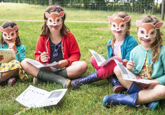 Les cerfs de la Fardelière