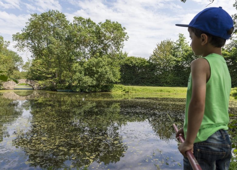 Initiation à la pêche : je pêche mes premiers poissons à Montjean-sur-Loire