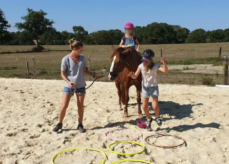 Équimotricité© Ter&rsquo;Anima