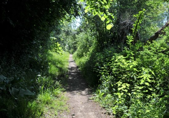 Randonnée « sur les sentiers de la Source »