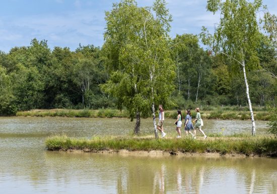 Aire de pique-nique Etang des Bruyères au Fuilet