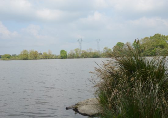 Pêche dans l’étang de la Coudraie
