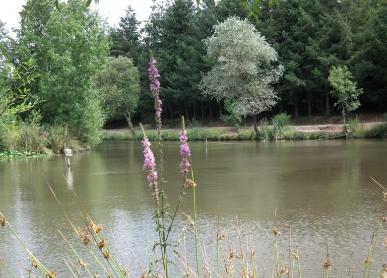 Etang de pêche de la Foucaudière