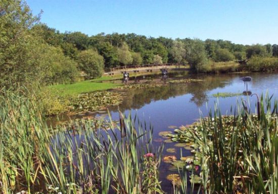 Aire de pique-nique de l’étang de la Foucaudière