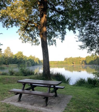 Aire de pique-nique de l’étang du Gué