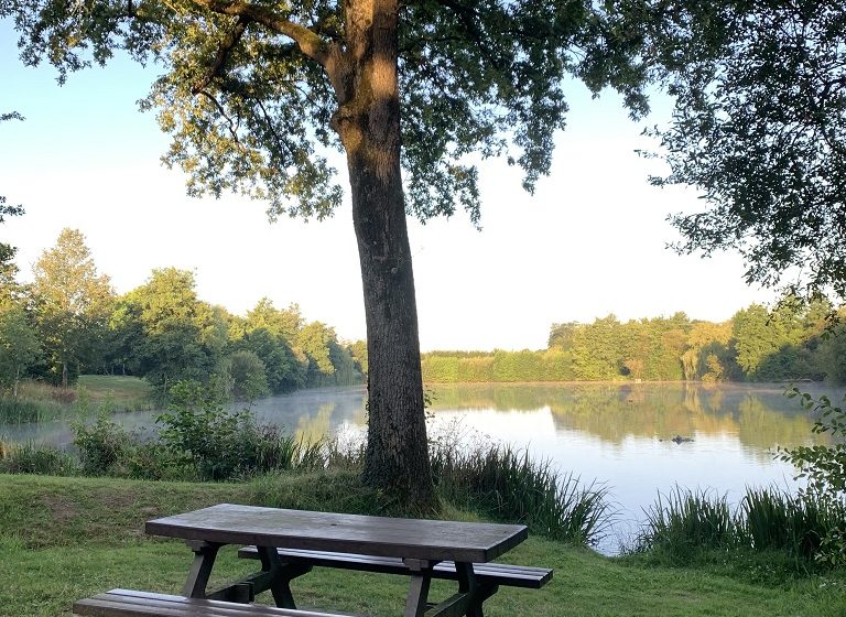 Aire de pique-nique de l’étang du Gué
