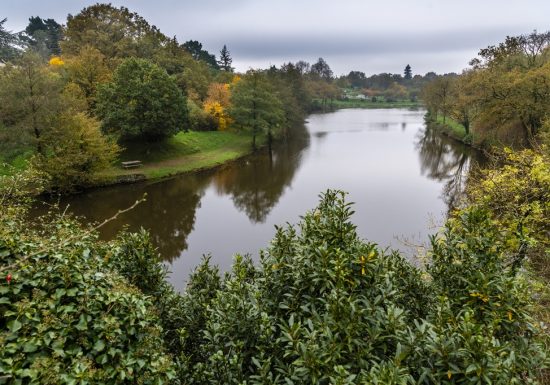 Pêche sur l&rsquo;étang de Rochefort