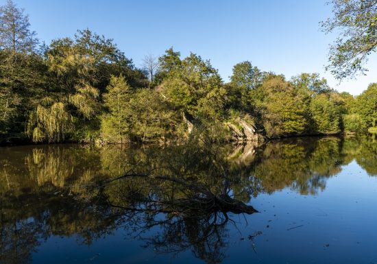 Etang de pêche de Rochefort