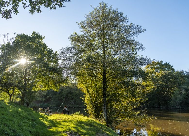 Etang de pêche de Rochefort