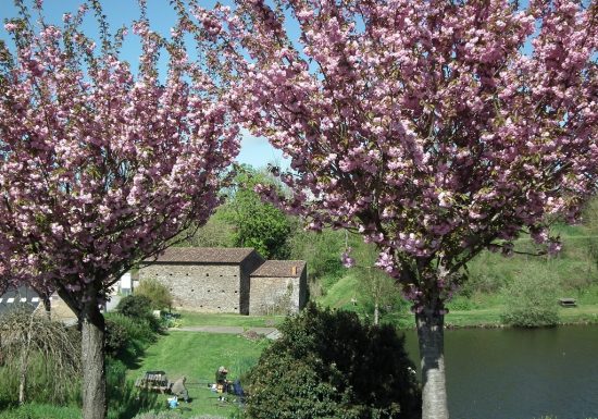 Pêche sur l’étang de Rochefort