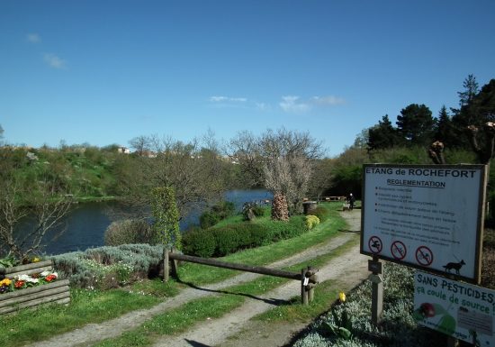 Pêche sur l’étang de Rochefort