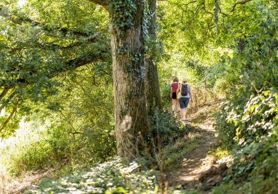 Randonnée « Le gallo-romain sylvanois »