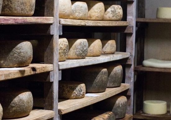 GAEC Bellis Perennis