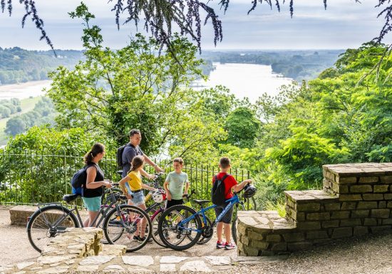 La Loire à Vélo, de Champtoceaux à Liré « Entre boire et histoire »