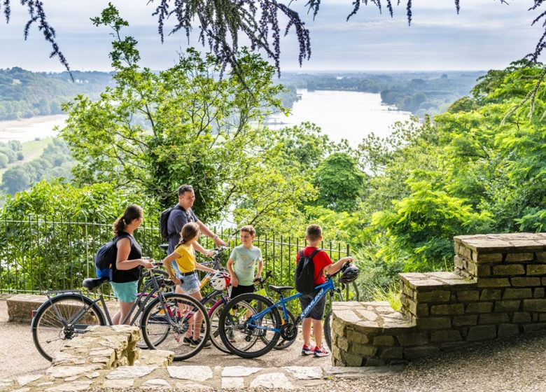 Location de vélos à l&rsquo;Office de Tourisme de Champtoceaux
