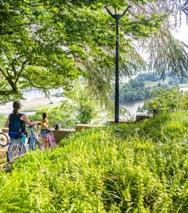 La Loire à Vélo, de Champtoceaux à Liré « Entre boire et histoire »