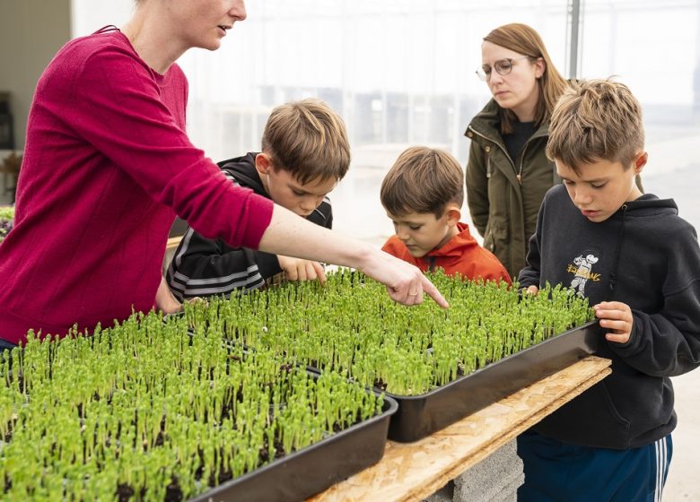 Ferme Micropousse « Il était une graine »
