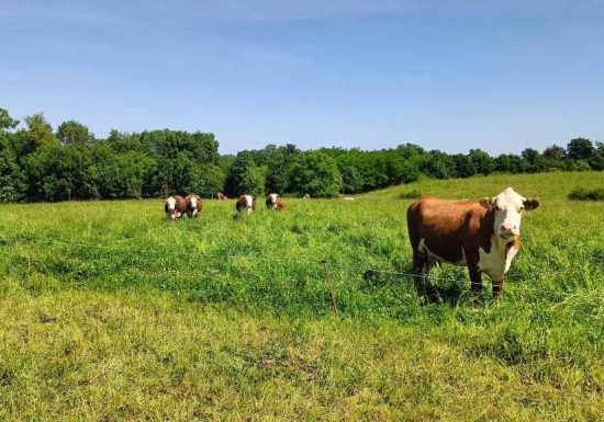 Ferme-brasserie Le pré Clos