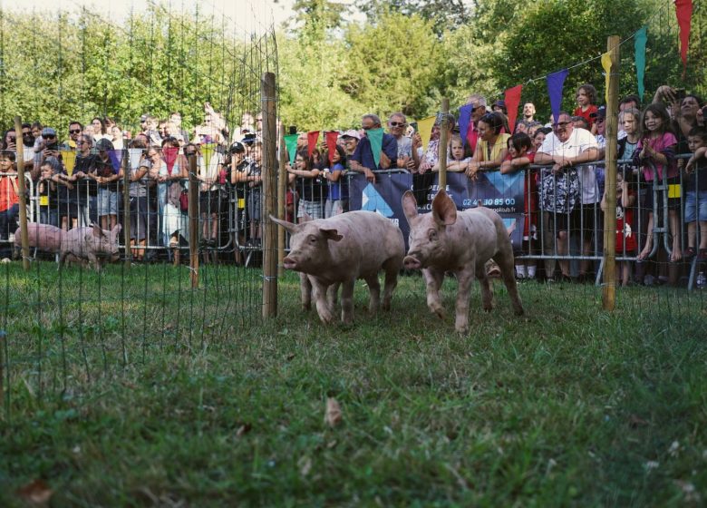 Fête du cochon à la Jumellière