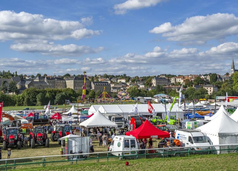 Féria made in Mauges : La Foire de la Petite Angevine