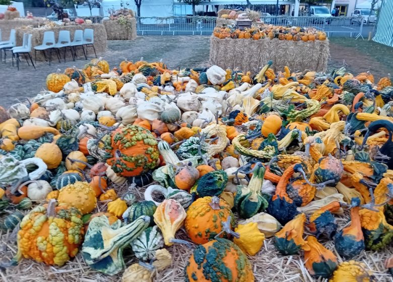Marché aux Cucurbitacées : 26ème édition