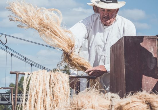 30 ème Festival De Fibres en Musique à Montjean-sur-Loire