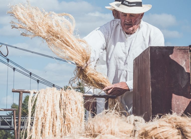 29 ÈME FESTIVAL DE FIBRES EN MUSIQUE À MONTJEAN-SUR-LOIRE