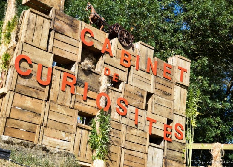 29 ÈME FESTIVAL DE FIBRES EN MUSIQUE À MONTJEAN-SUR-LOIRE