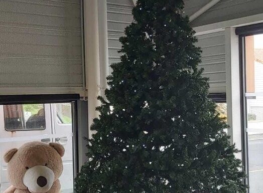 Marché de Noël de la Fiesta Germinoise