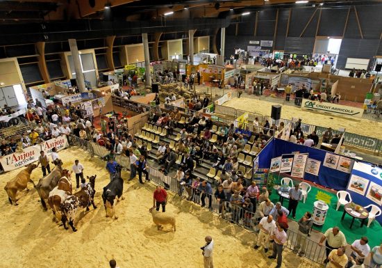 Foire de Chemillé : Foire Exposition et Festi Élevage.
