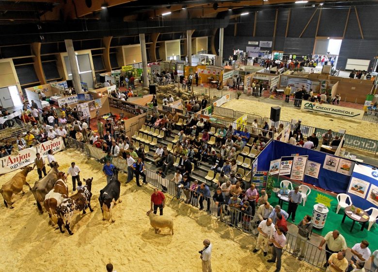 Foire de Chemillé : Foire Exposition et Festi Élevage.