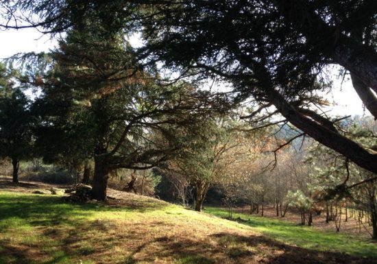 Aire d’accueil de campeurs des Hautes Herbes