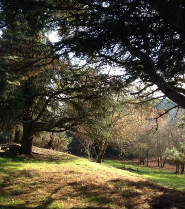 Aire de camping-car Les Hautes Herbes
