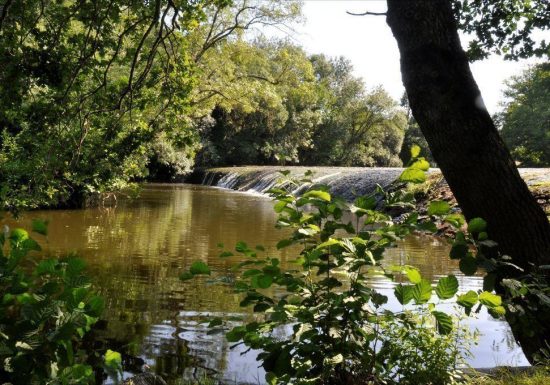 Gîte L’Acacia du Moulin de Braimboeuf