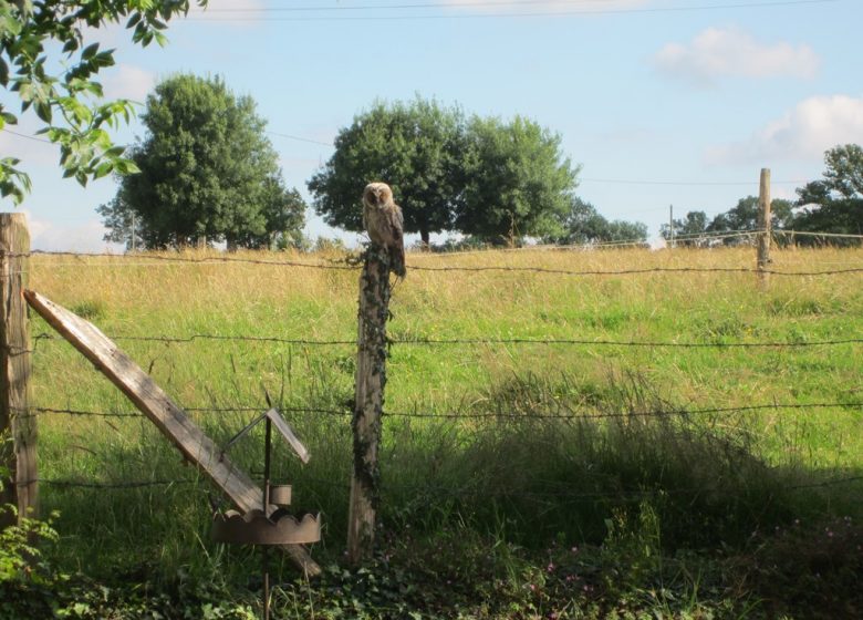 GÎTE AU PETIT BONHEUR