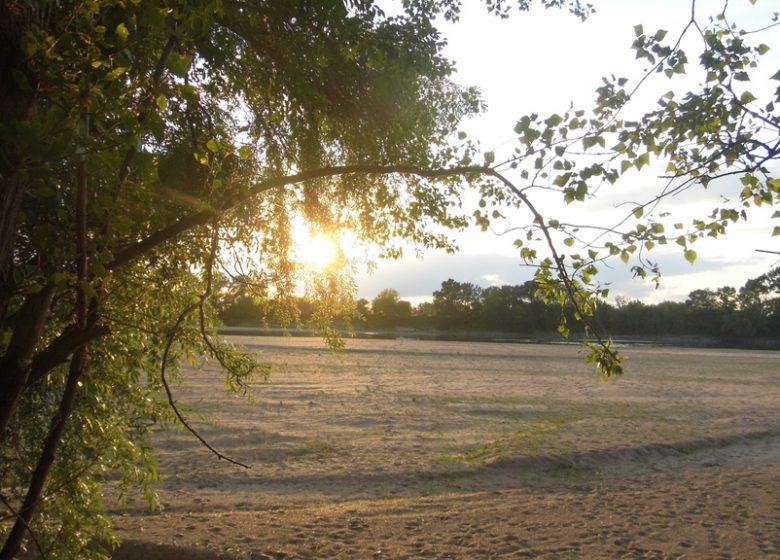Gîte Des bords de Loire