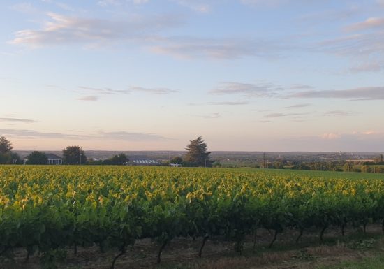 Gîte Le Cormier Lodge Cosy