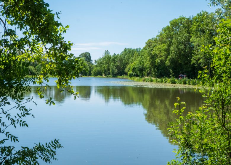 Pêche à la Boire de la Grand’ Fosse