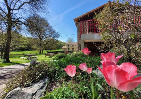 Guinguette Au Moulin